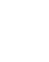 Lion Order
