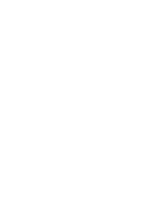 Runtz