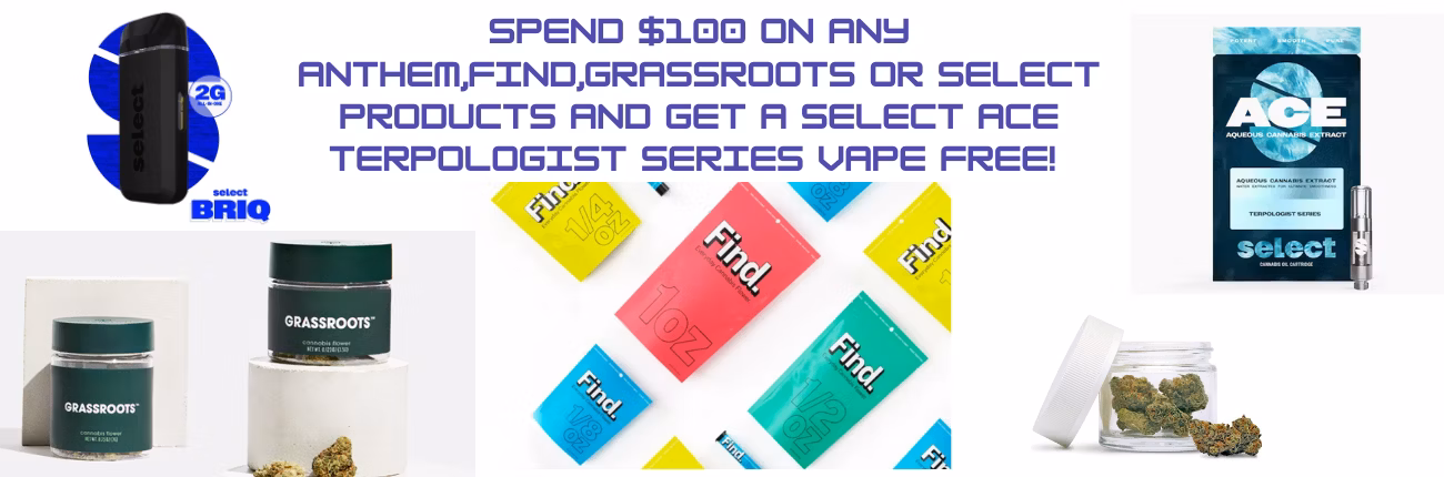 1bf13880-ac50-11f0-8f1e-f7b43108bfd6